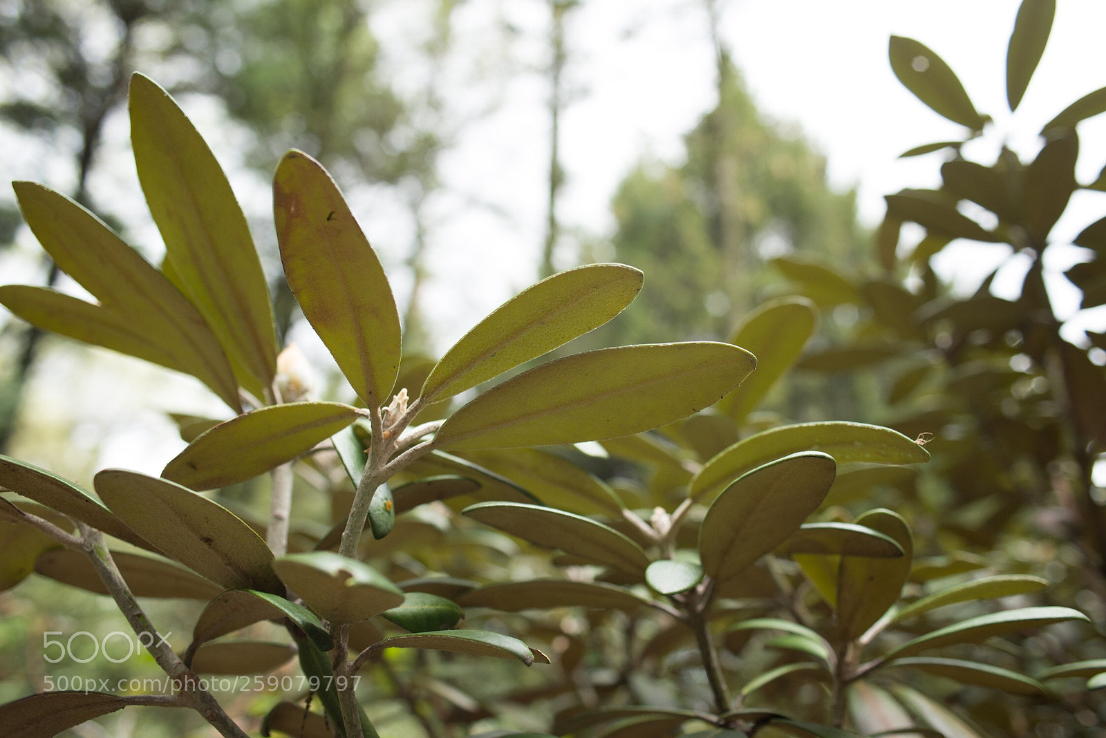 Nikon D600 sample photo. Untitled photography