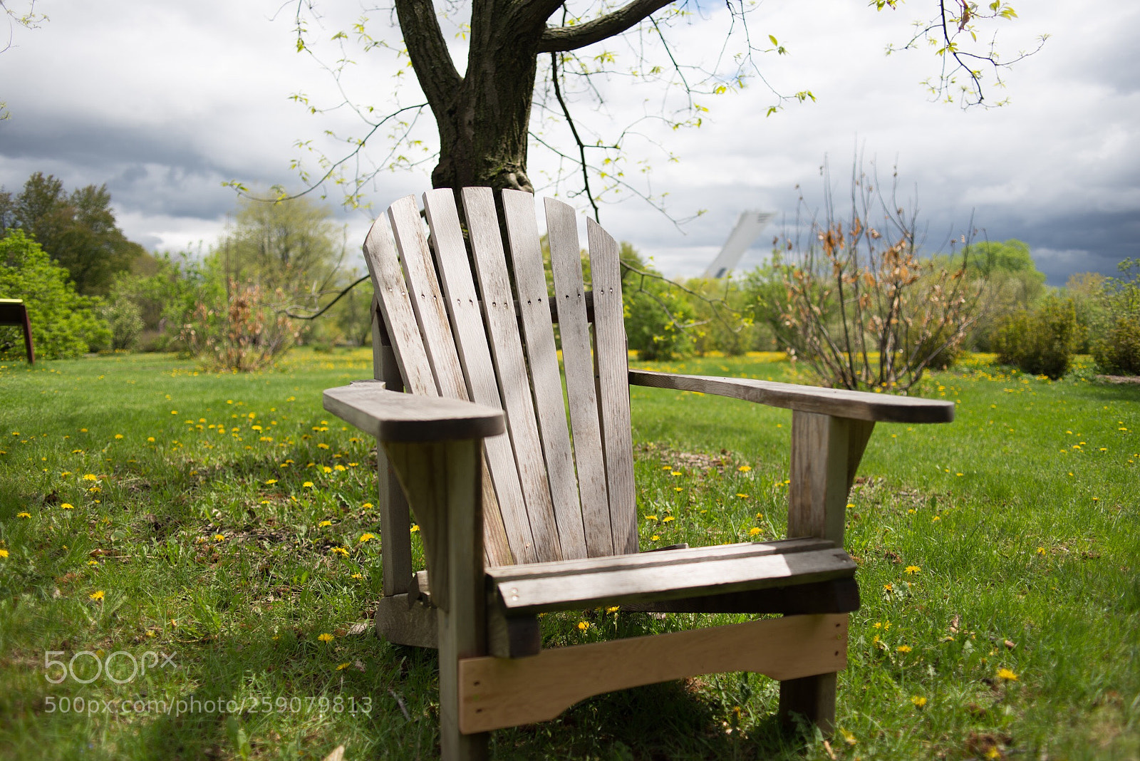 Nikon D600 sample photo. Untitled photography