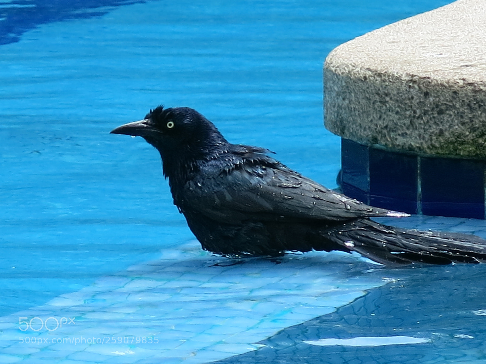 Canon PowerShot G15 sample photo. Very hot day photography
