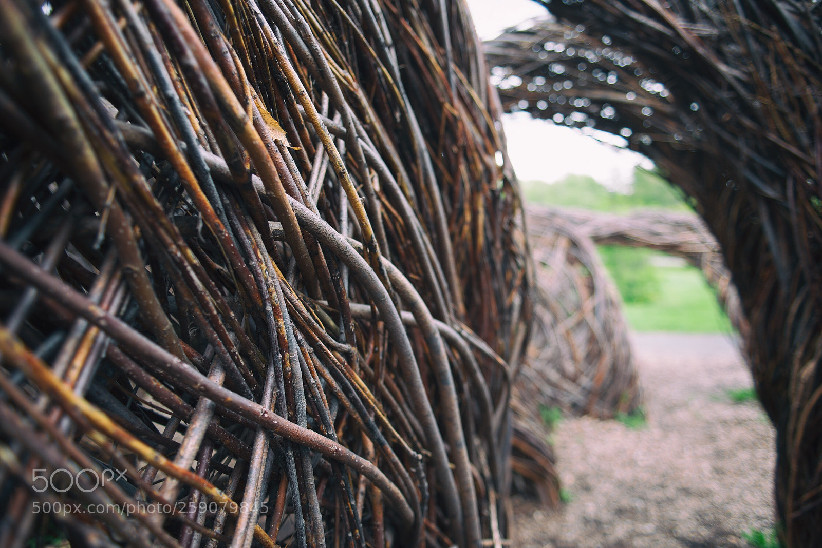 Nikon D600 sample photo. Untitled photography