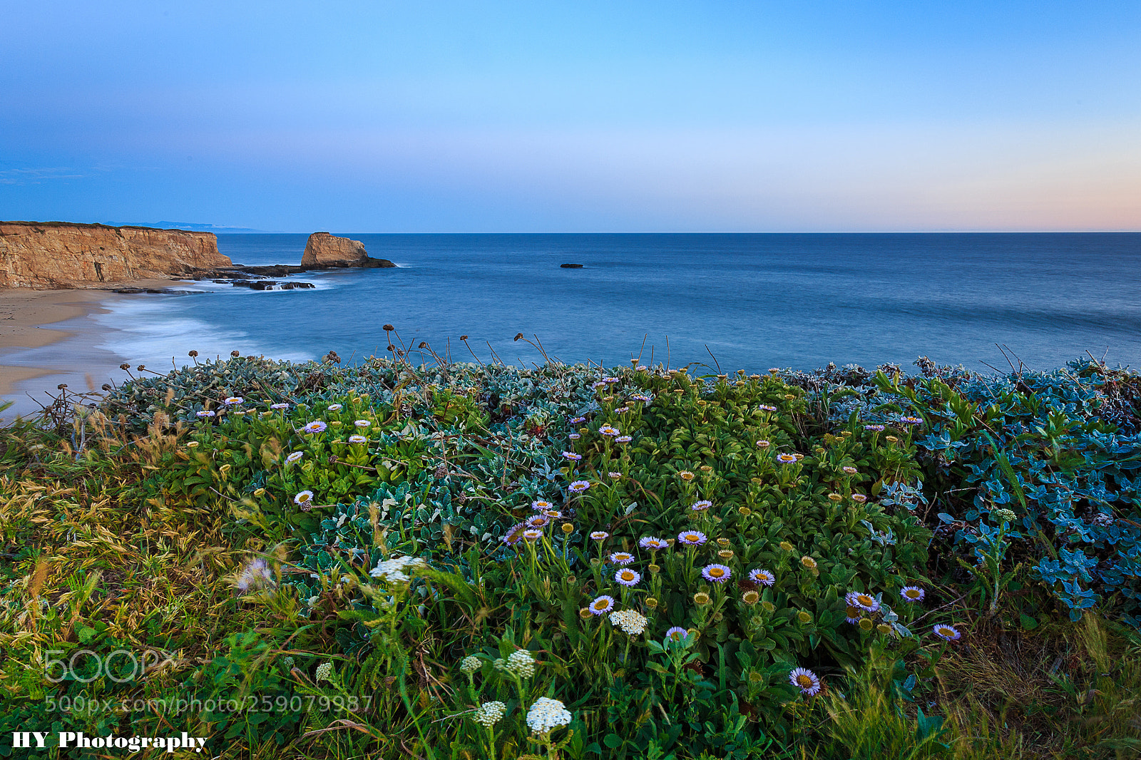 Canon EOS 6D sample photo. Mg photography