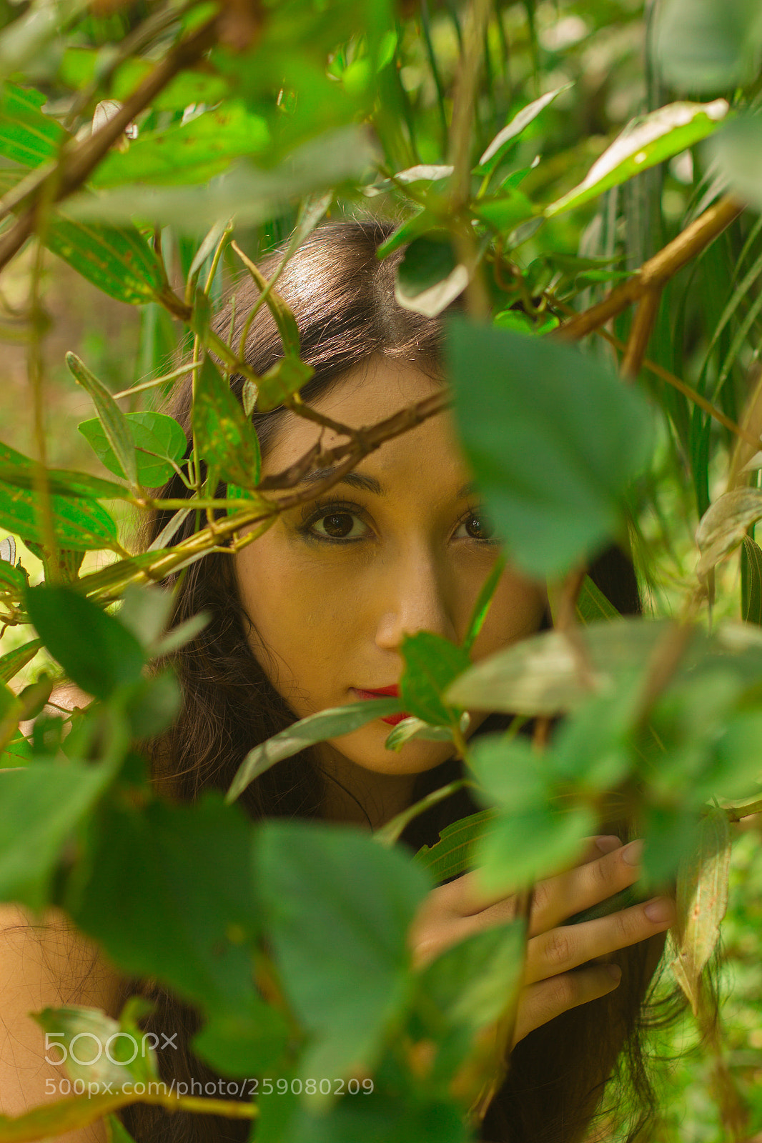Canon EOS 7D sample photo. Between the leaves.... photography