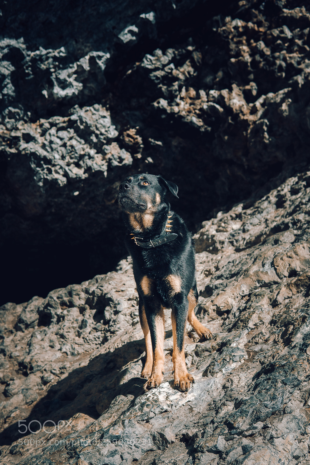 Sony a6000 sample photo. + + + photography