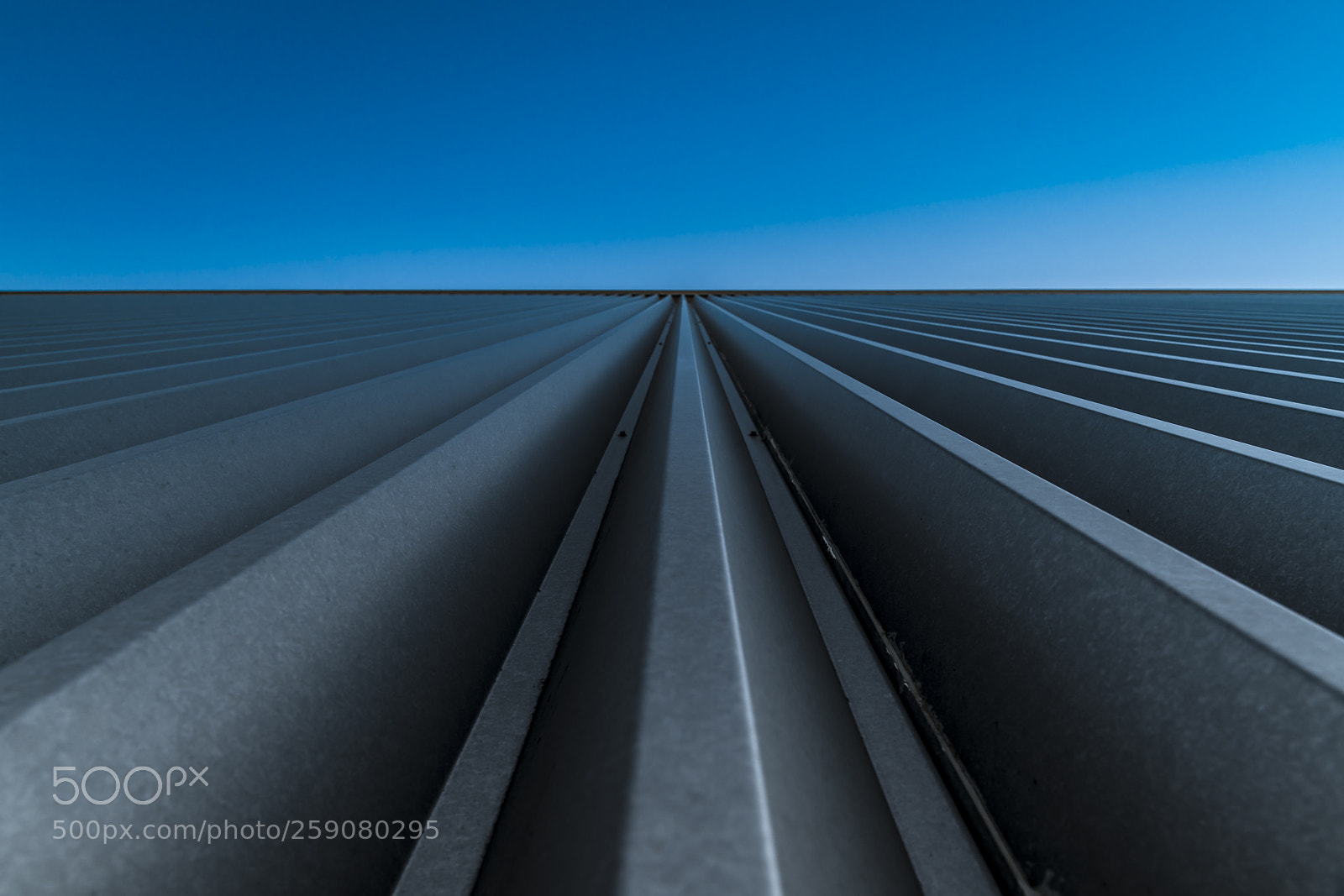 Sony a7R III sample photo. View from the ground photography