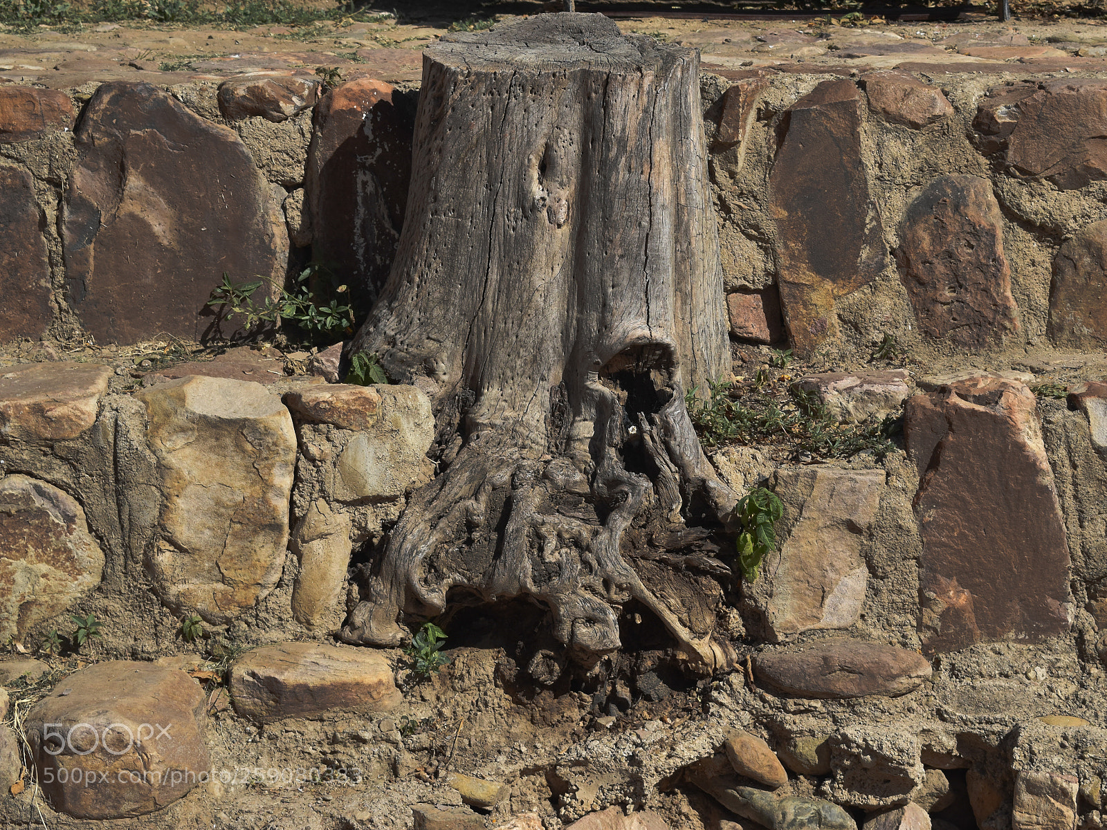 Nikon D5500 sample photo. Naturaleza que impone photography