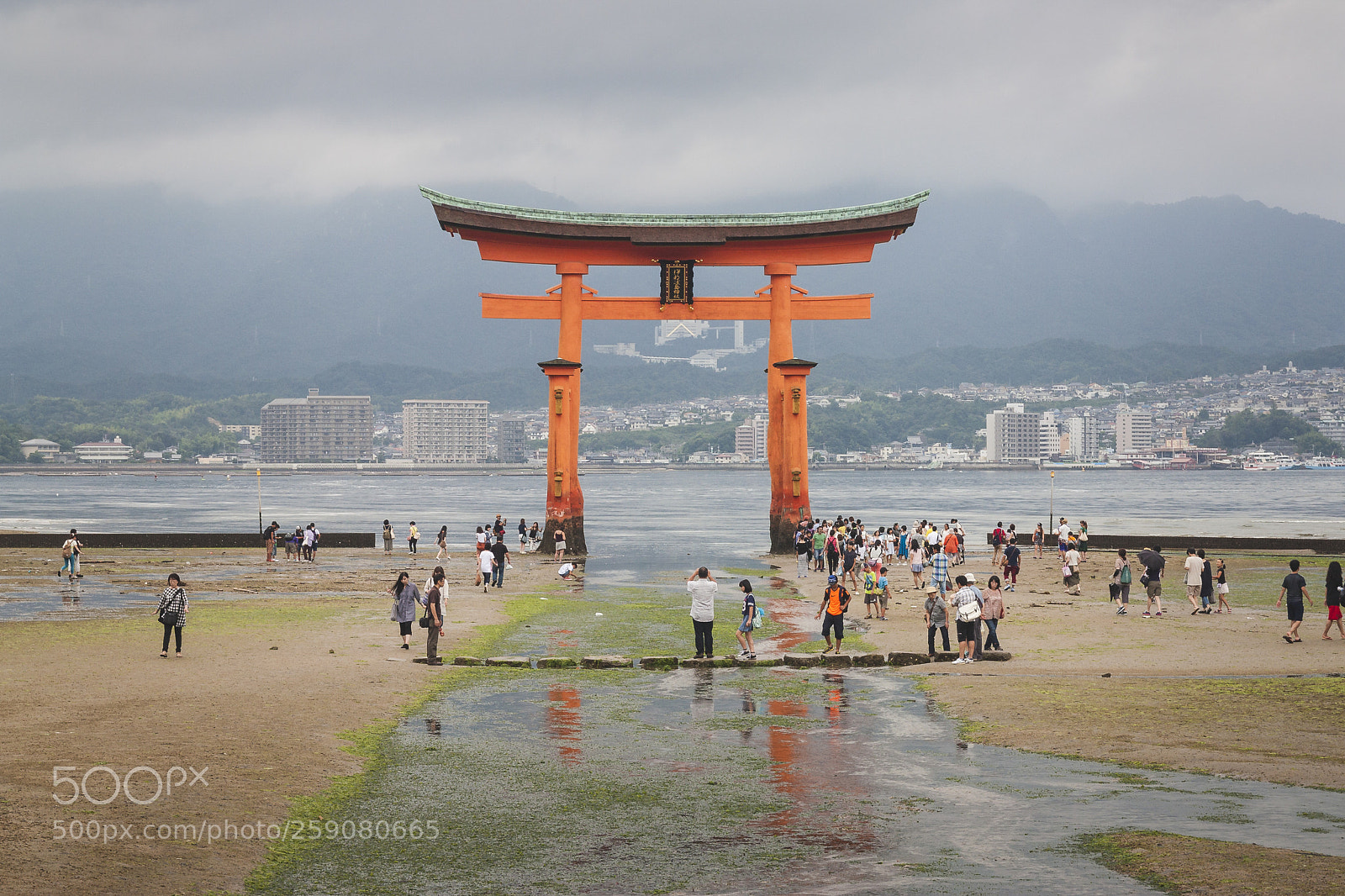 Canon EOS 450D (EOS Rebel XSi / EOS Kiss X2) sample photo. The great torii of photography