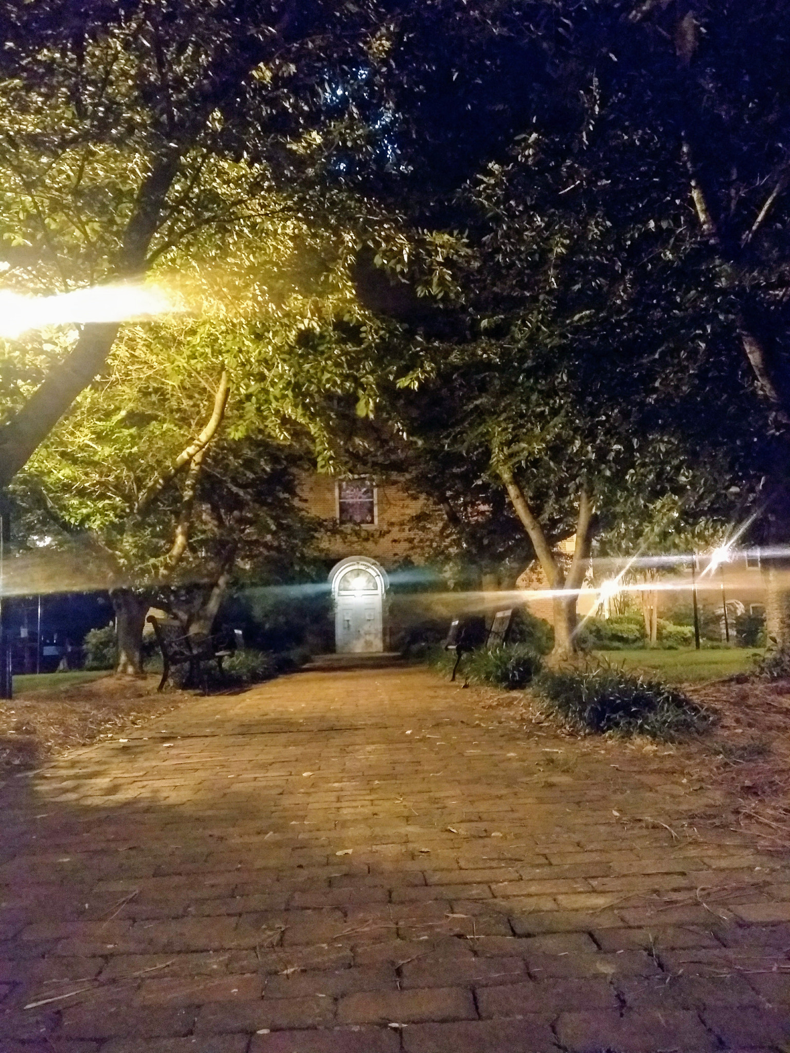 Motorola Moto G (5S) Plus sample photo. Path photography