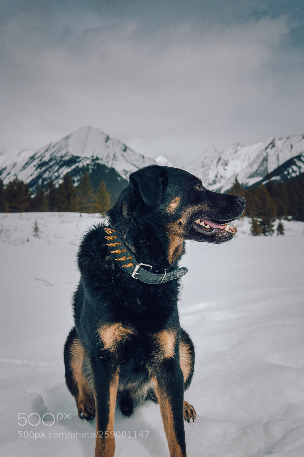 Sony a6000 sample photo. + + + photography