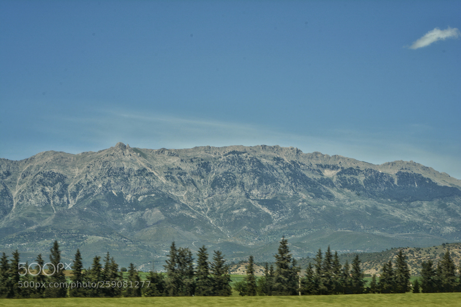 Nikon D7100 sample photo. Algeria on the move photography