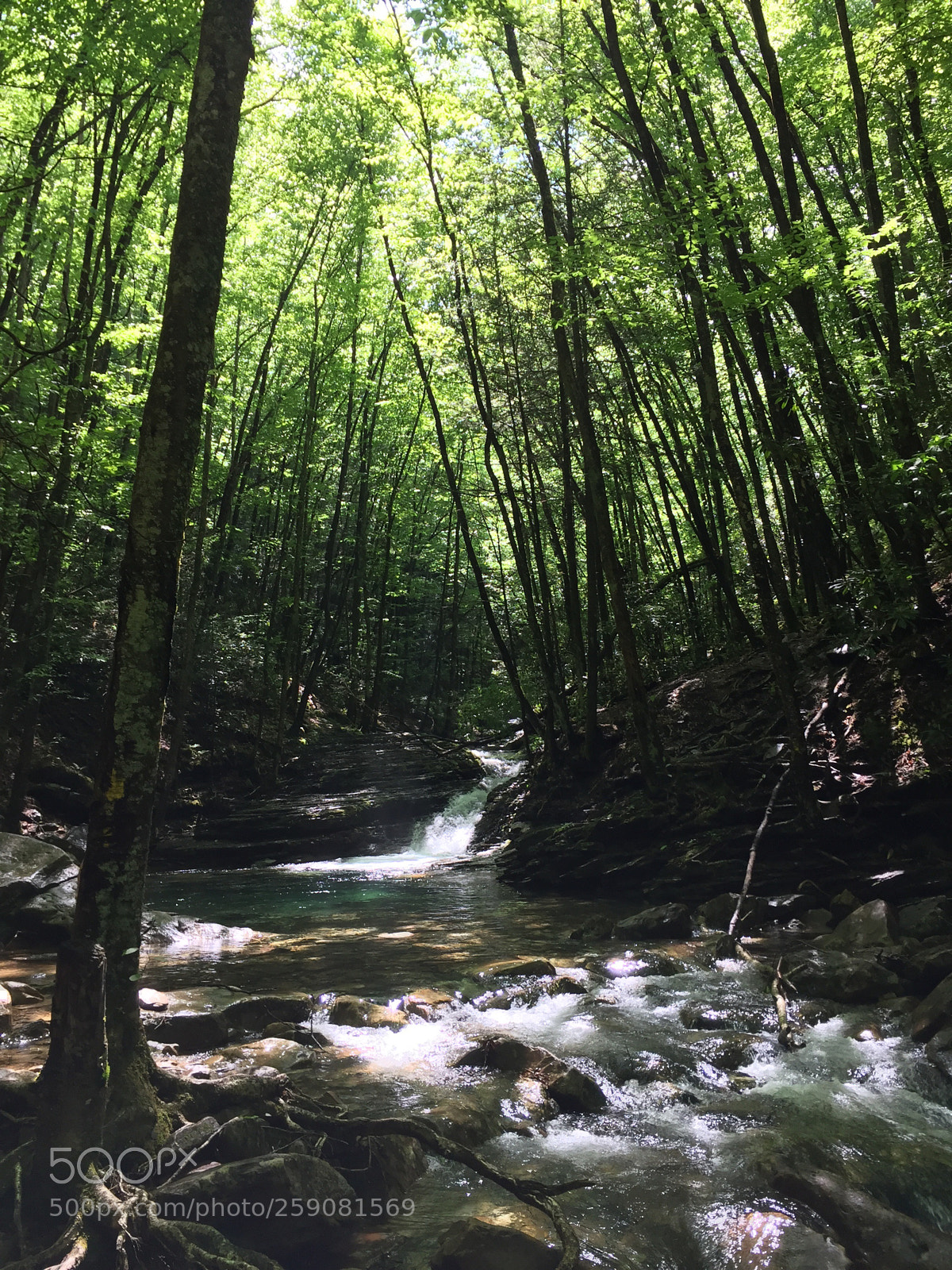 Apple iPhone 6 sample photo. Devil’s bathtub,va
 photography