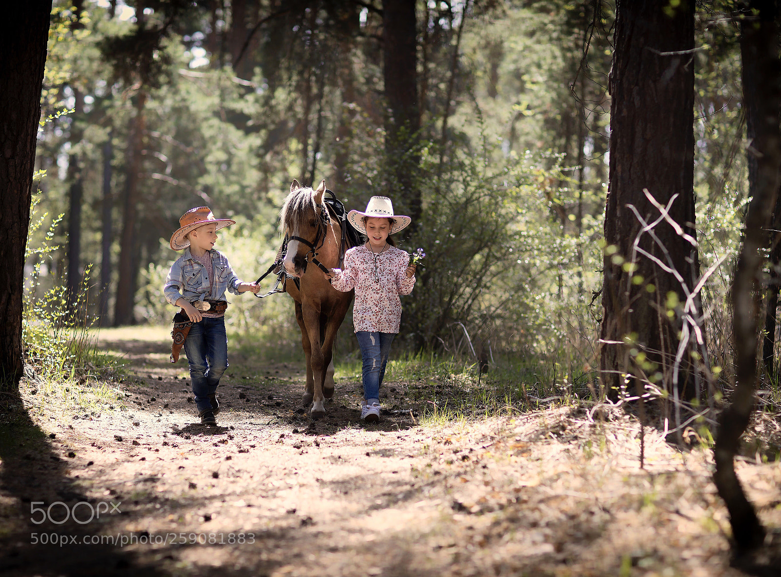 Canon EOS 5D Mark IV sample photo. Magic wood photography