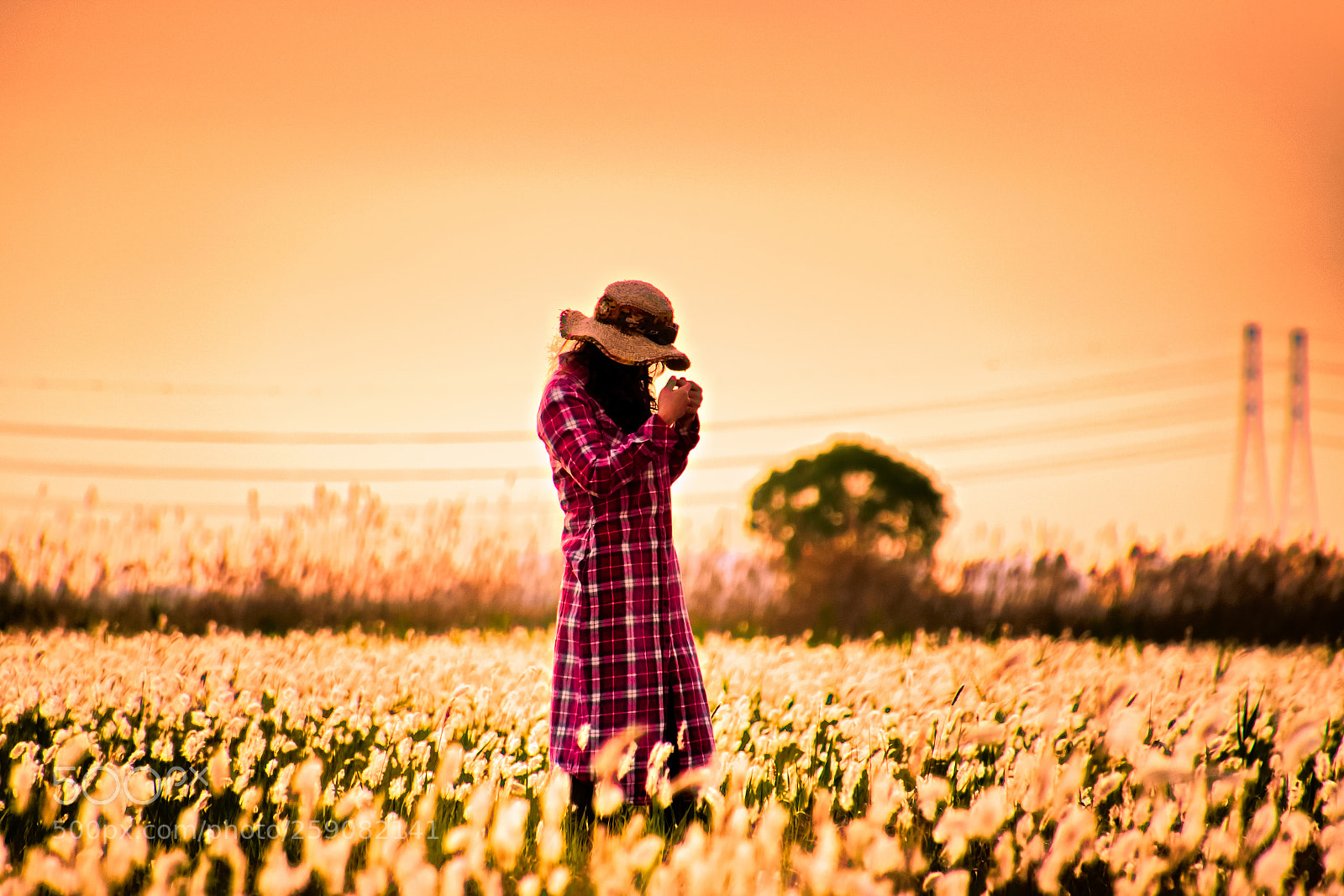 Nikon D5500 sample photo. Woman photography