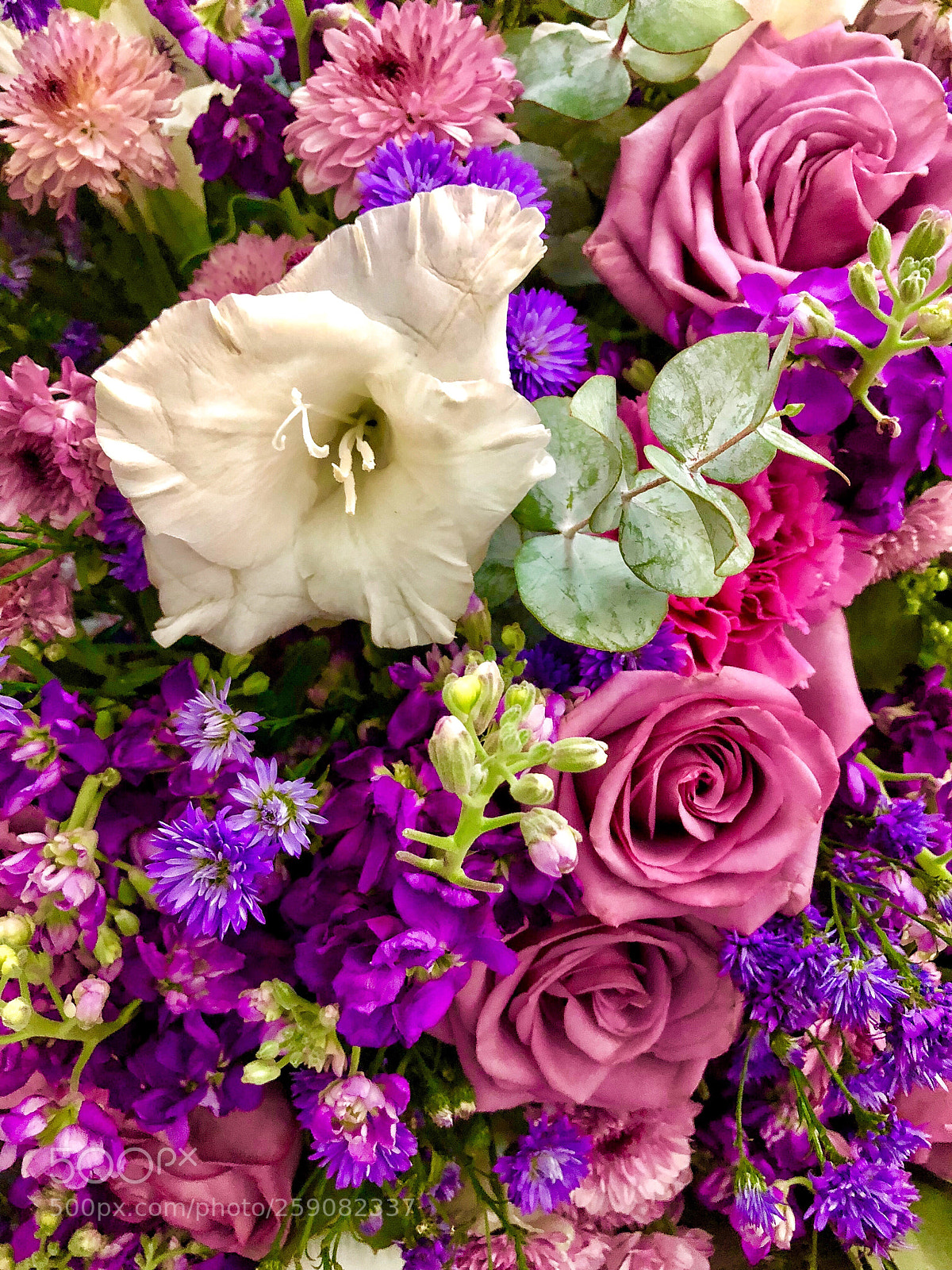 Apple iPhone 8 Plus sample photo. Bouquet photography