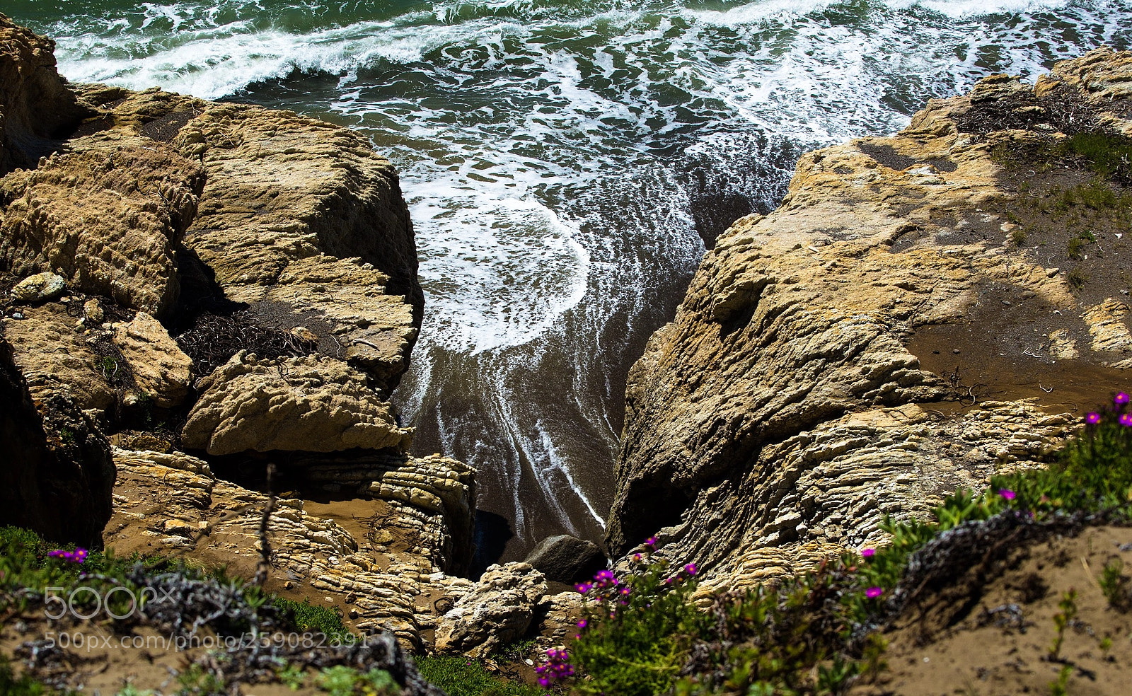 Nikon D610 sample photo. San simeon coast photography