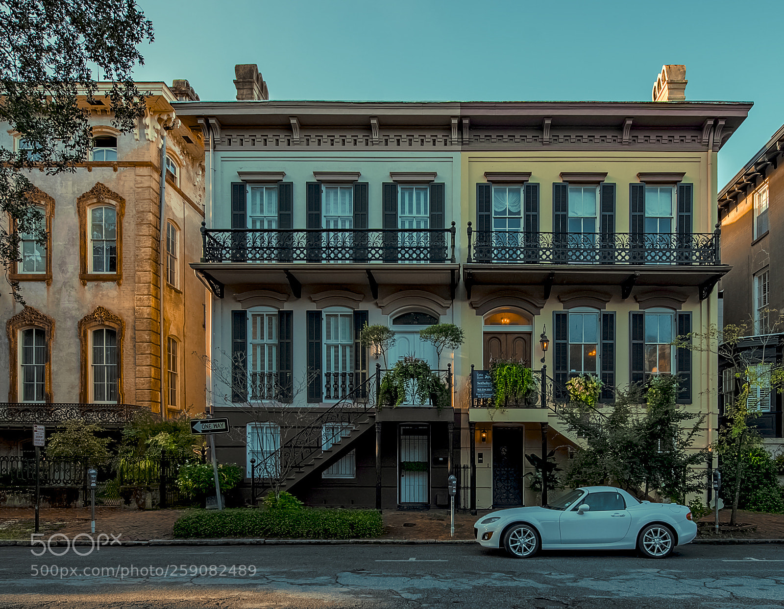 Nikon D610 sample photo. Savannah morning photography