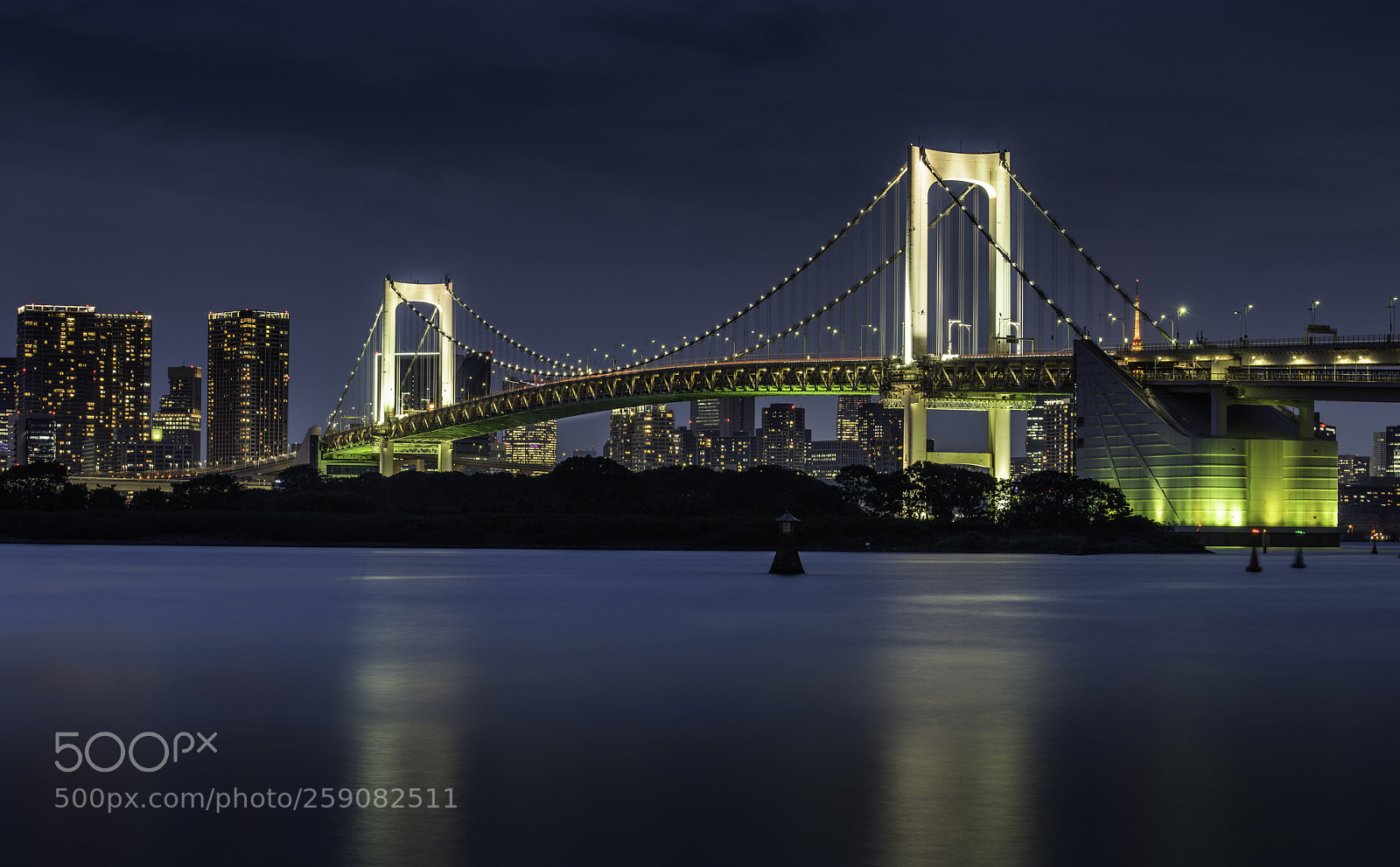 Nikon D850 sample photo. Rainbow bridge at odaiba photography