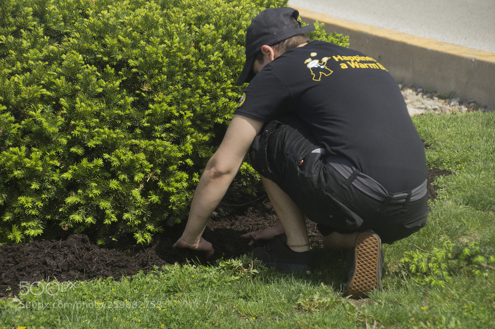 Canon EOS 1200D (EOS Rebel T5 / EOS Kiss X70 / EOS Hi) sample photo. The landscaper working. photography