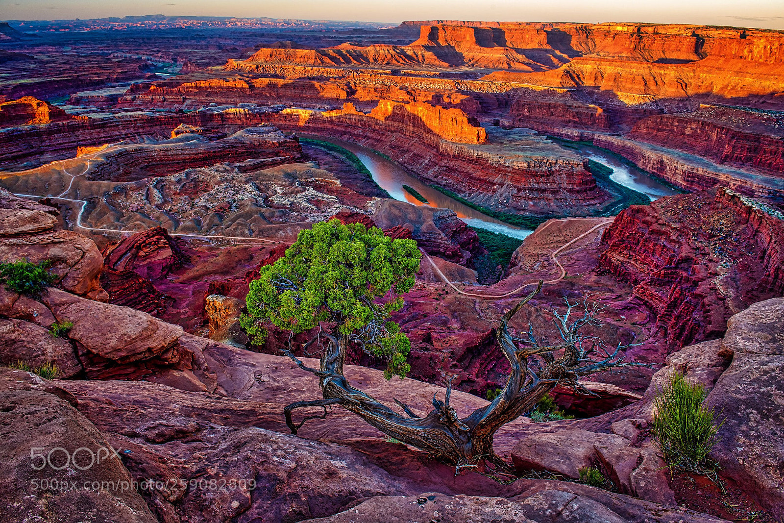 Nikon D850 sample photo. Colorado river photography