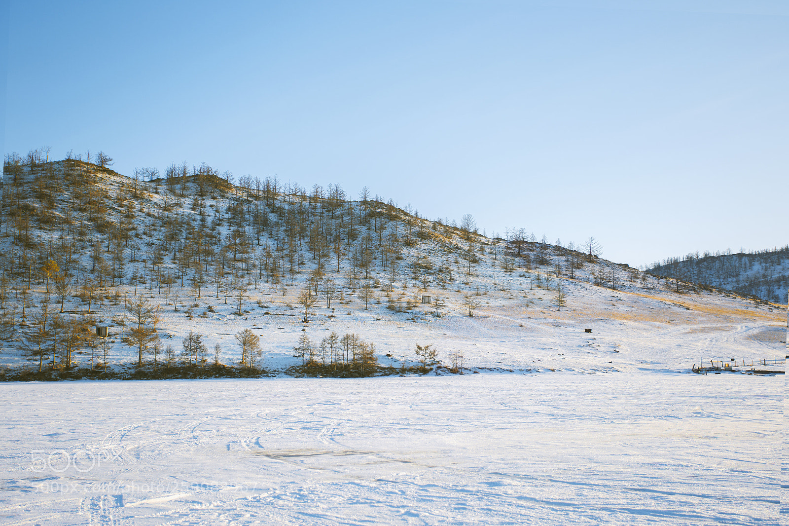 Canon EOS 6D sample photo. Major blue photography