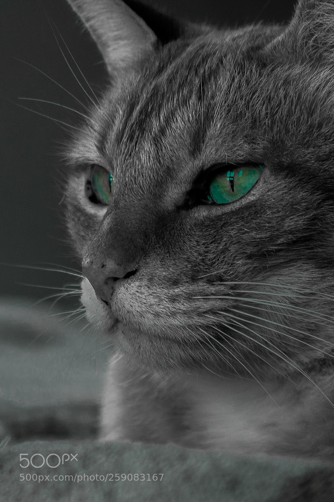 Canon EOS 1100D (EOS Rebel T3 / EOS Kiss X50) sample photo. Taivas photography