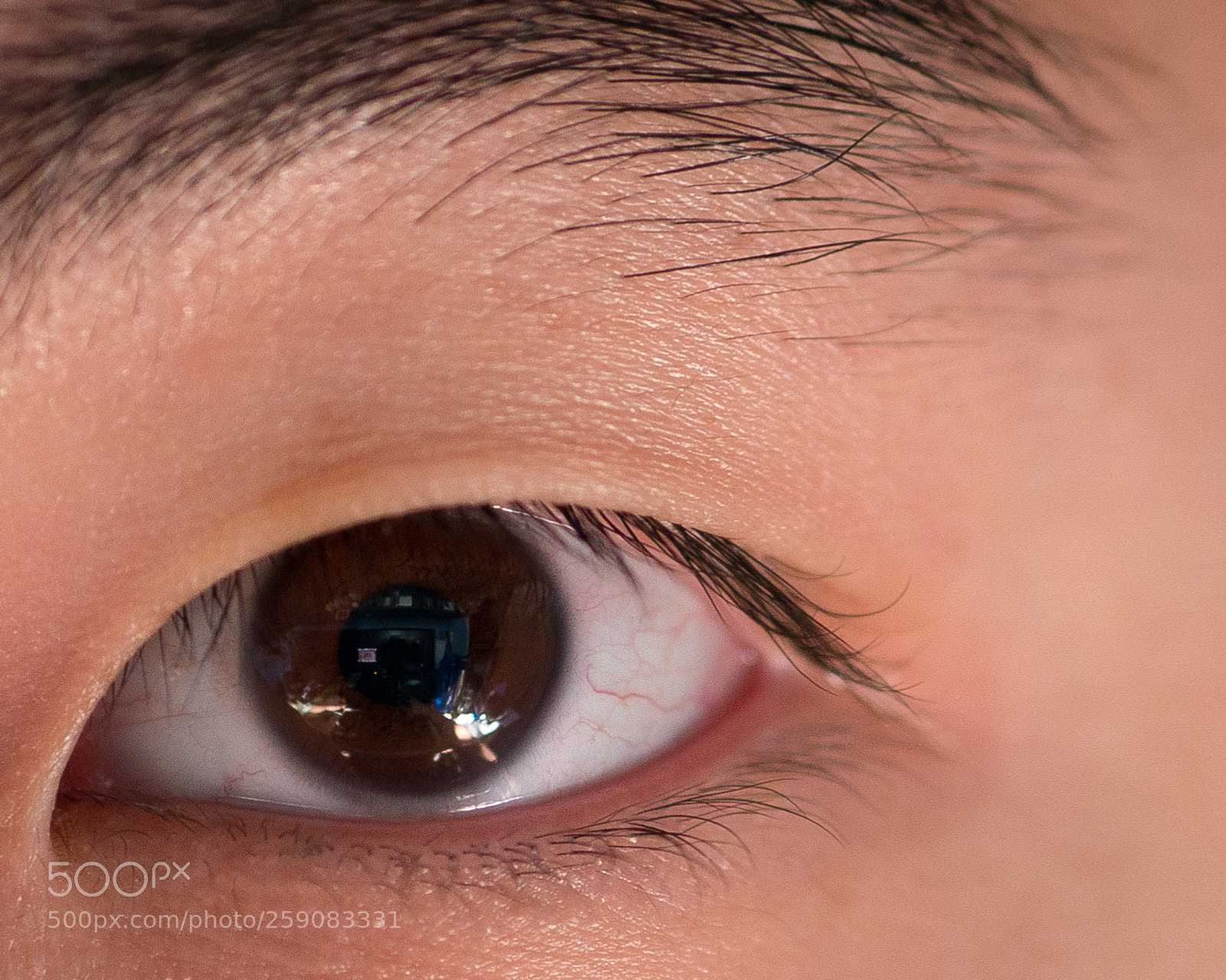 Panasonic Lumix DMC-G7 sample photo. Eye on the prize photography