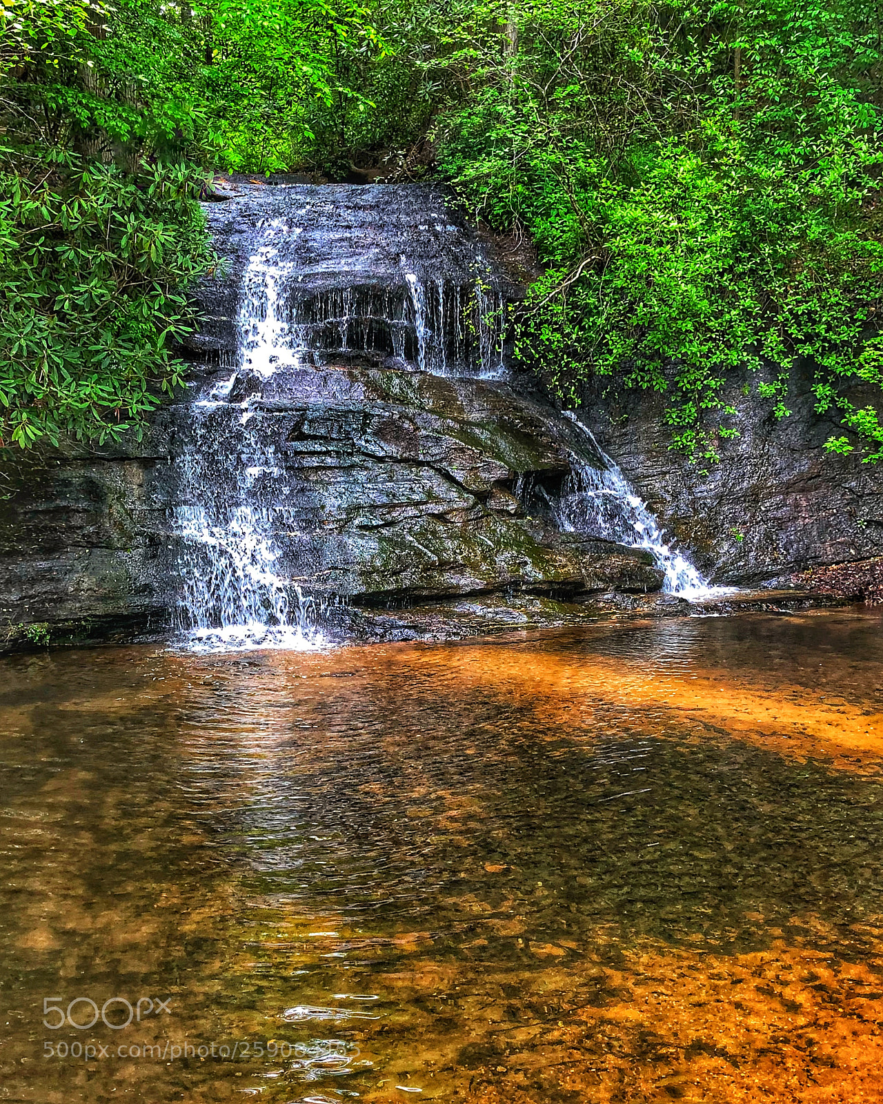 Apple iPhone 8 Plus sample photo. Wildcat branch falls photography