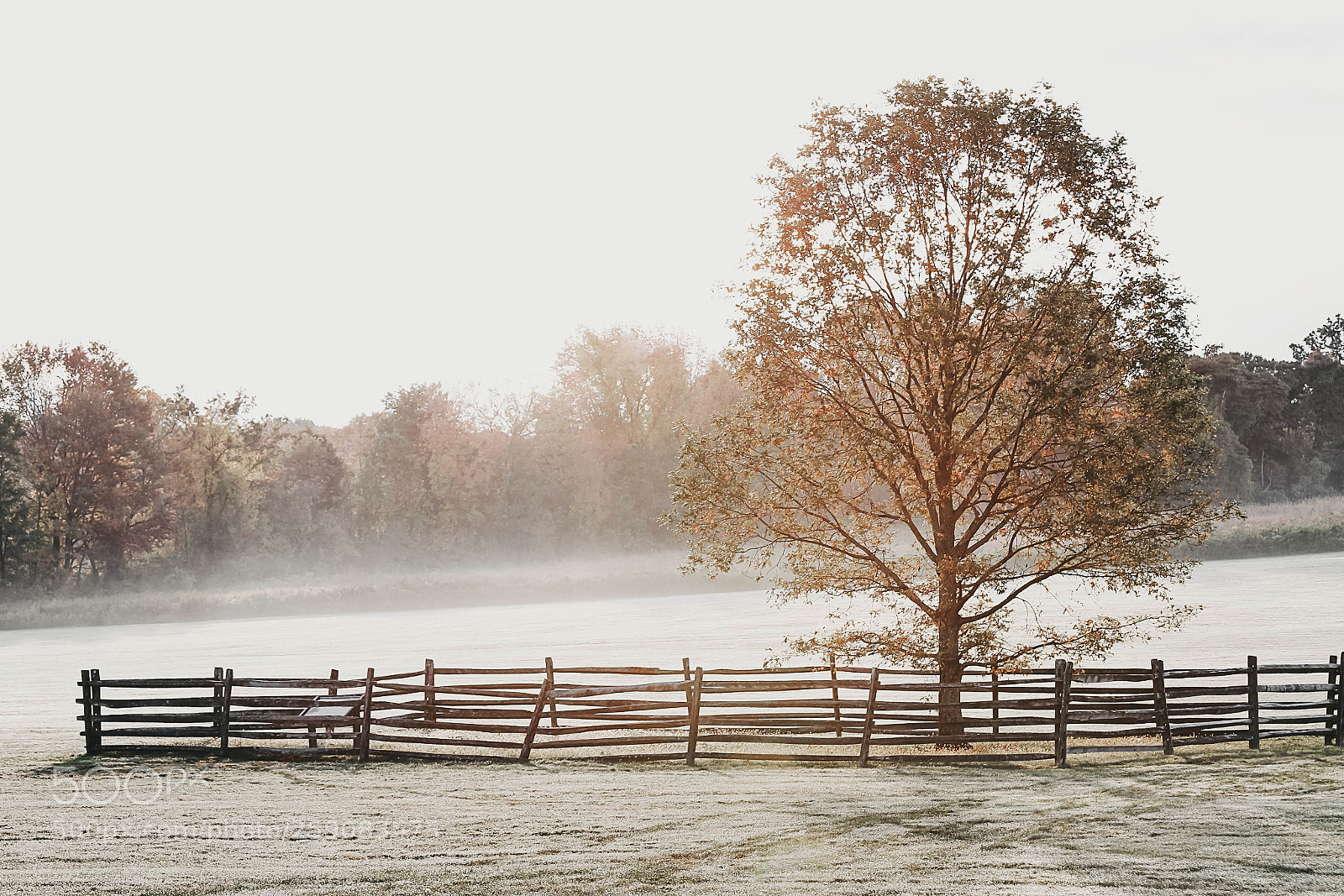 Canon EOS 7D sample photo. Autumn sunrise photography