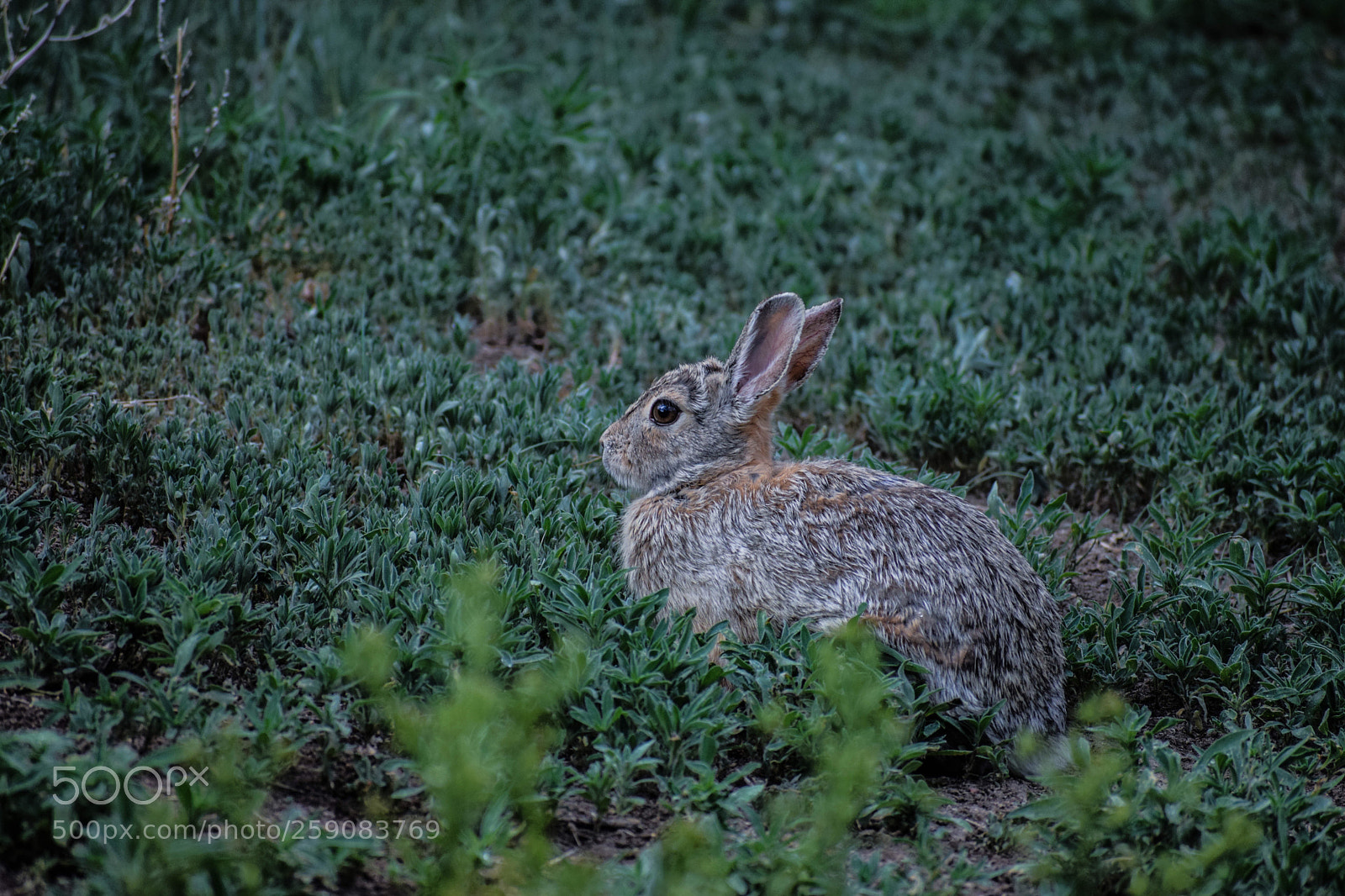 Nikon D5300 sample photo. Untitled photography