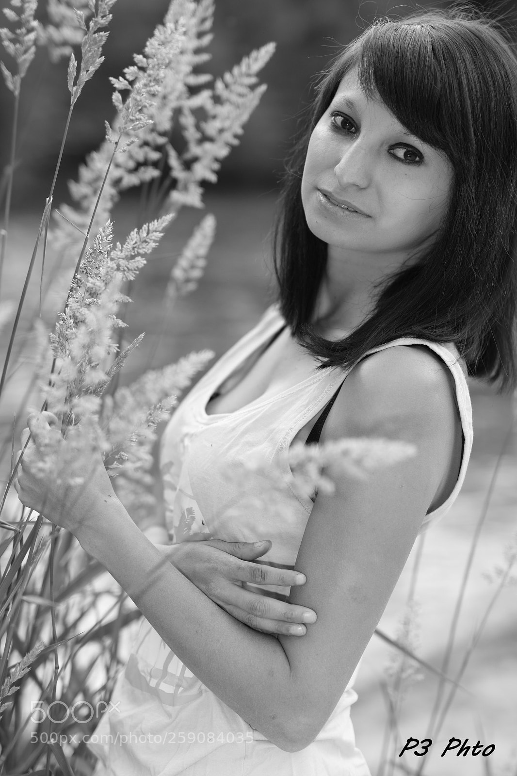 Canon EOS 80D sample photo. Img photography
