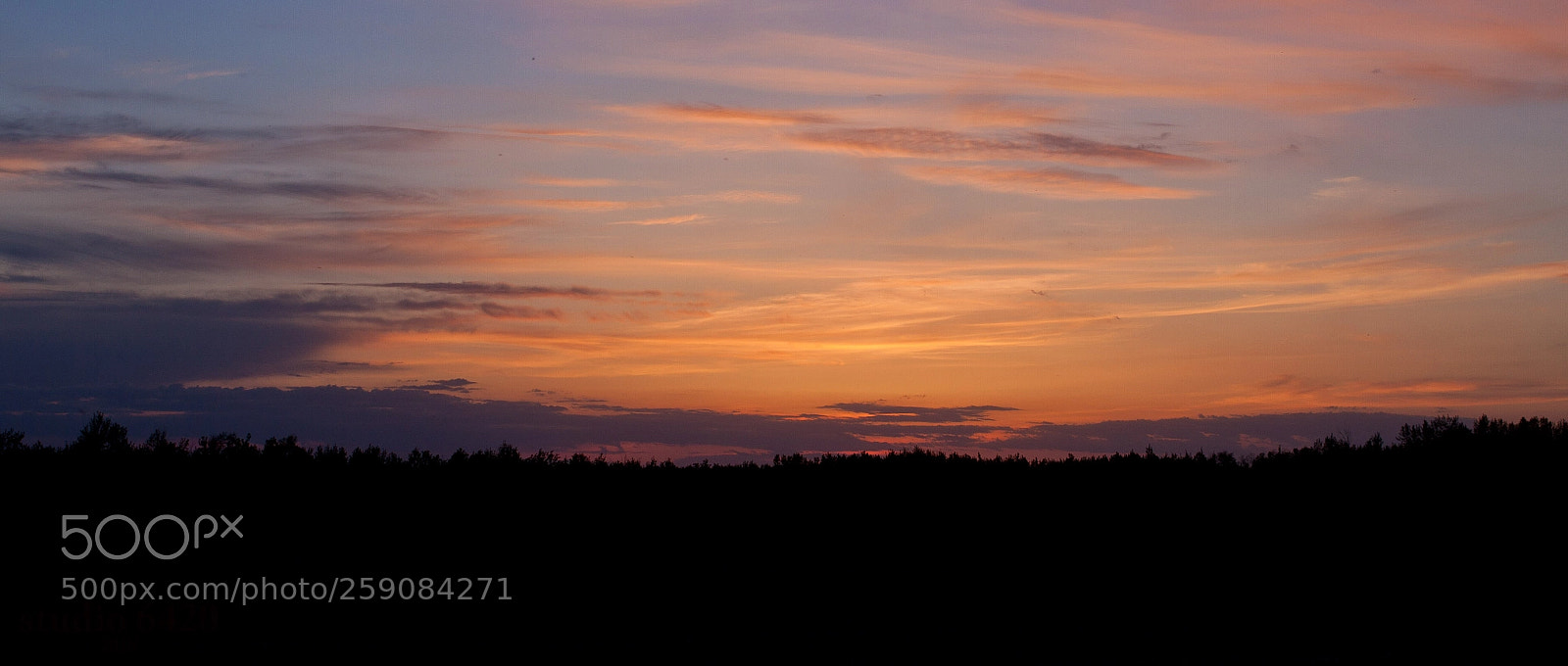 Canon EOS 50D sample photo. Sunday evening photography