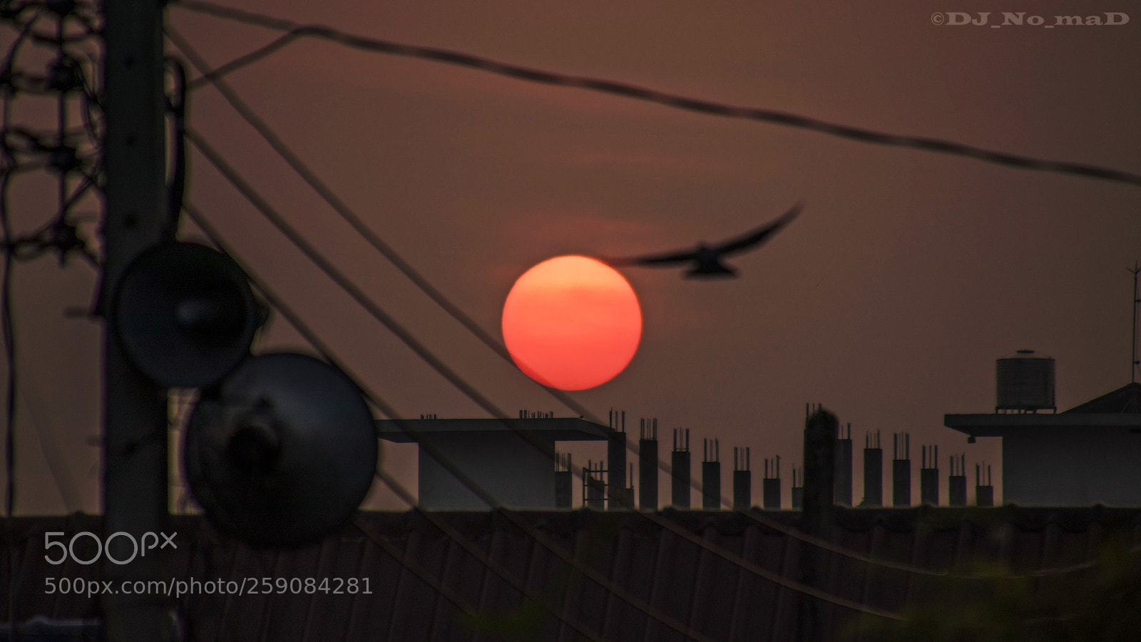 Canon EOS 80D sample photo. Fly photography