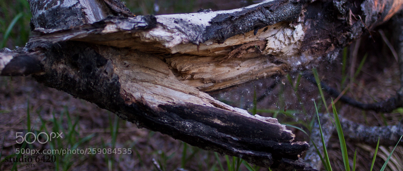 Canon EOS 50D sample photo. Broken photography