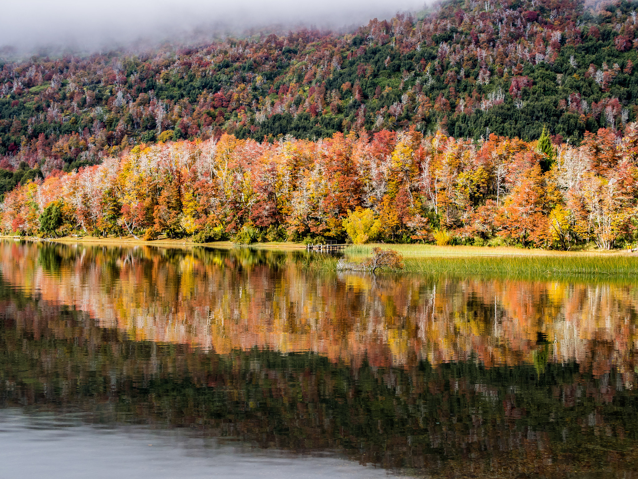 Olympus PEN E-PL5 sample photo. Autumn colors @lake falkner photography