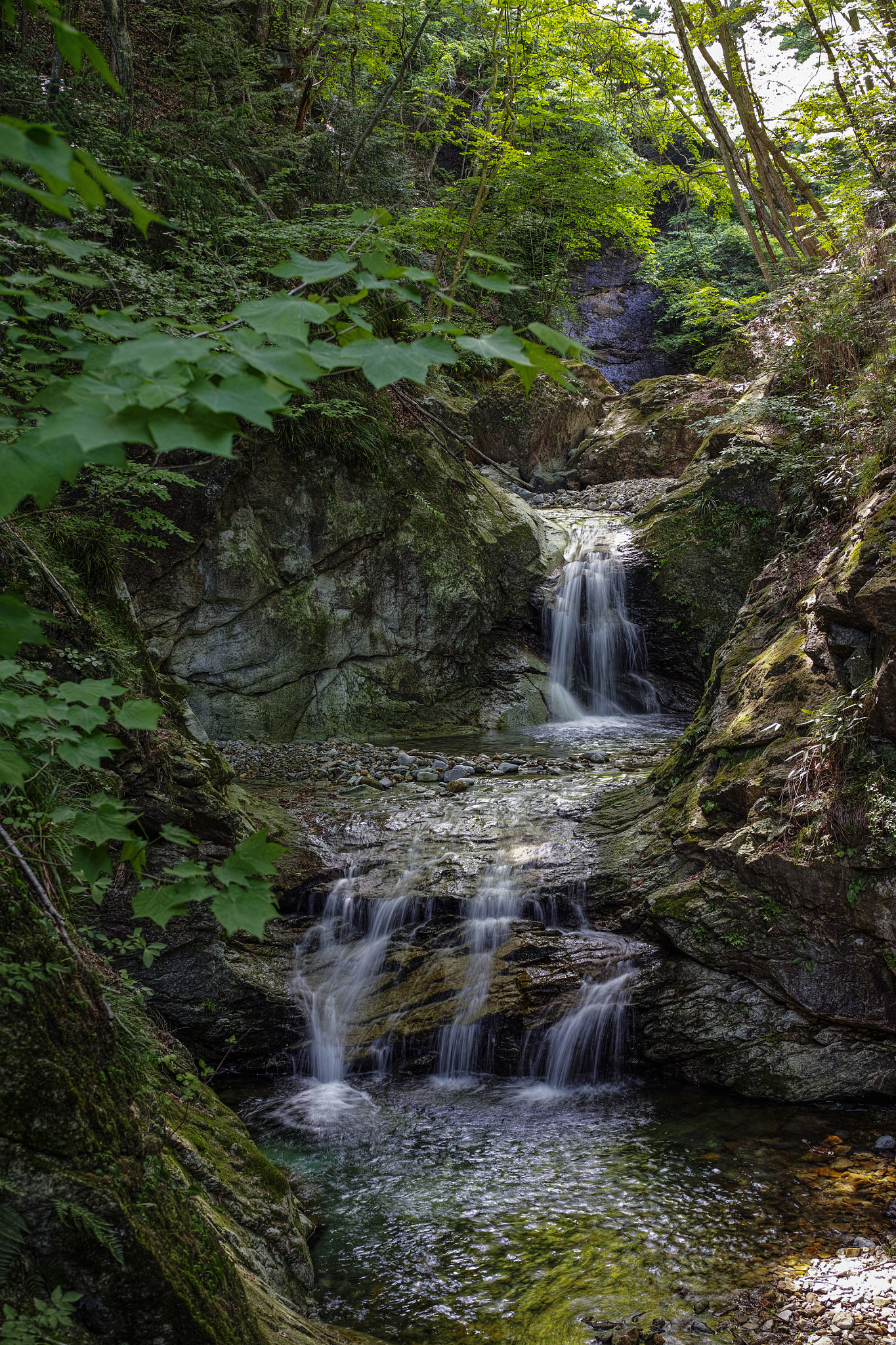 Sigma DP2 Merrill sample photo. Waterfall① photography