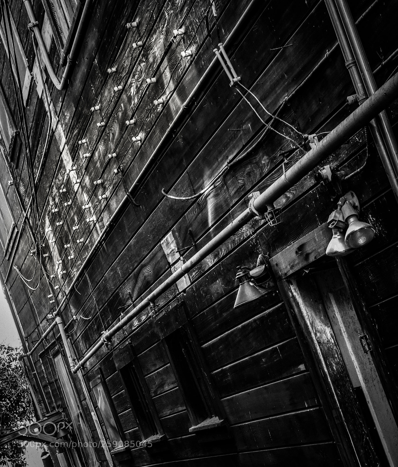 Fujifilm X-T2 sample photo. Untitled 355 photography