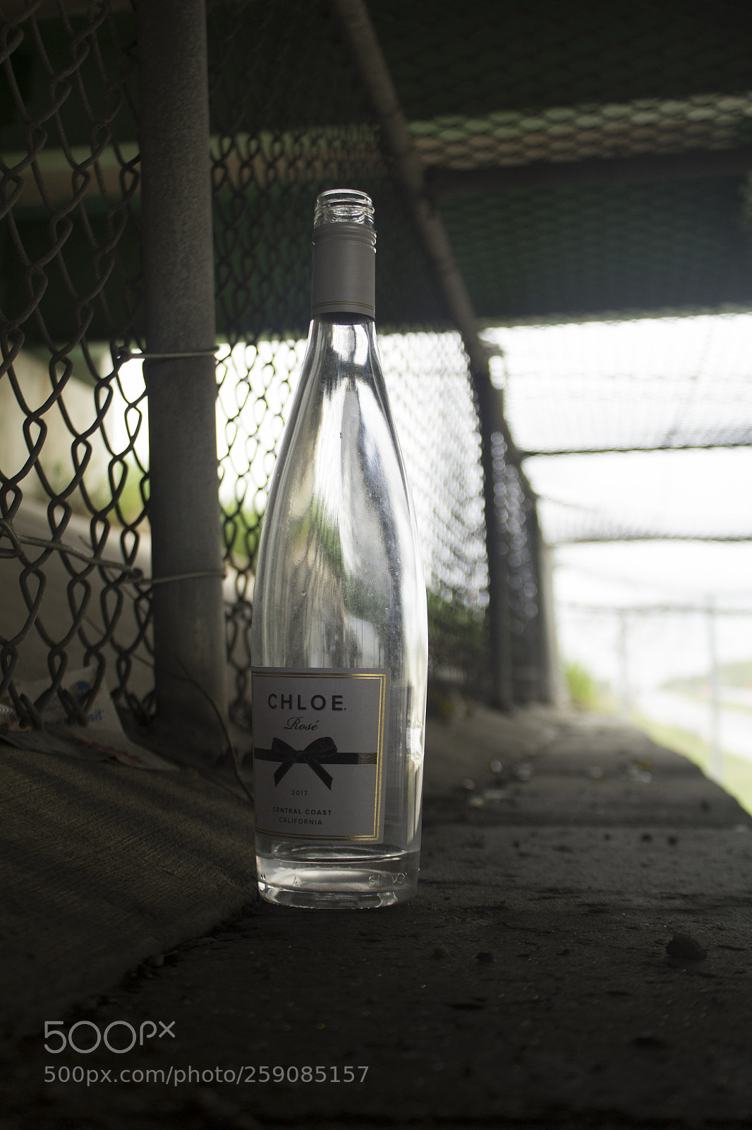 Canon EOS 1200D (EOS Rebel T5 / EOS Kiss X70 / EOS Hi) sample photo. Chloe in a dark photography