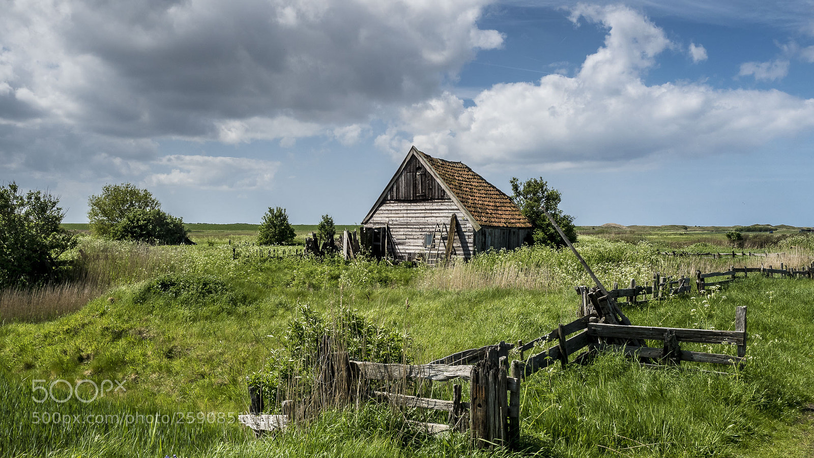 Olympus OM-D E-M5 II sample photo. Hutch photography