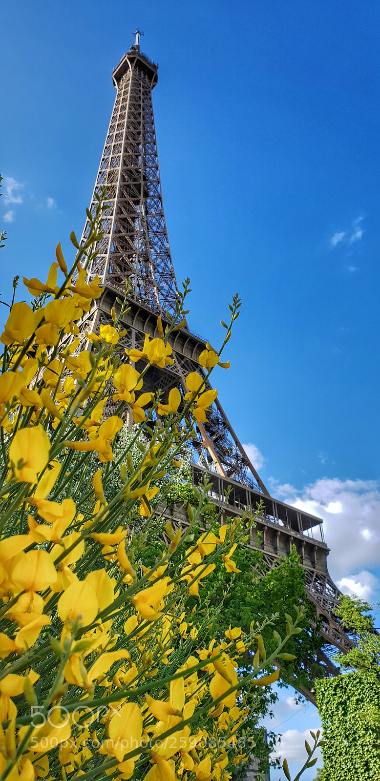 Samsung Galaxy S9 sample photo. Tour photography
