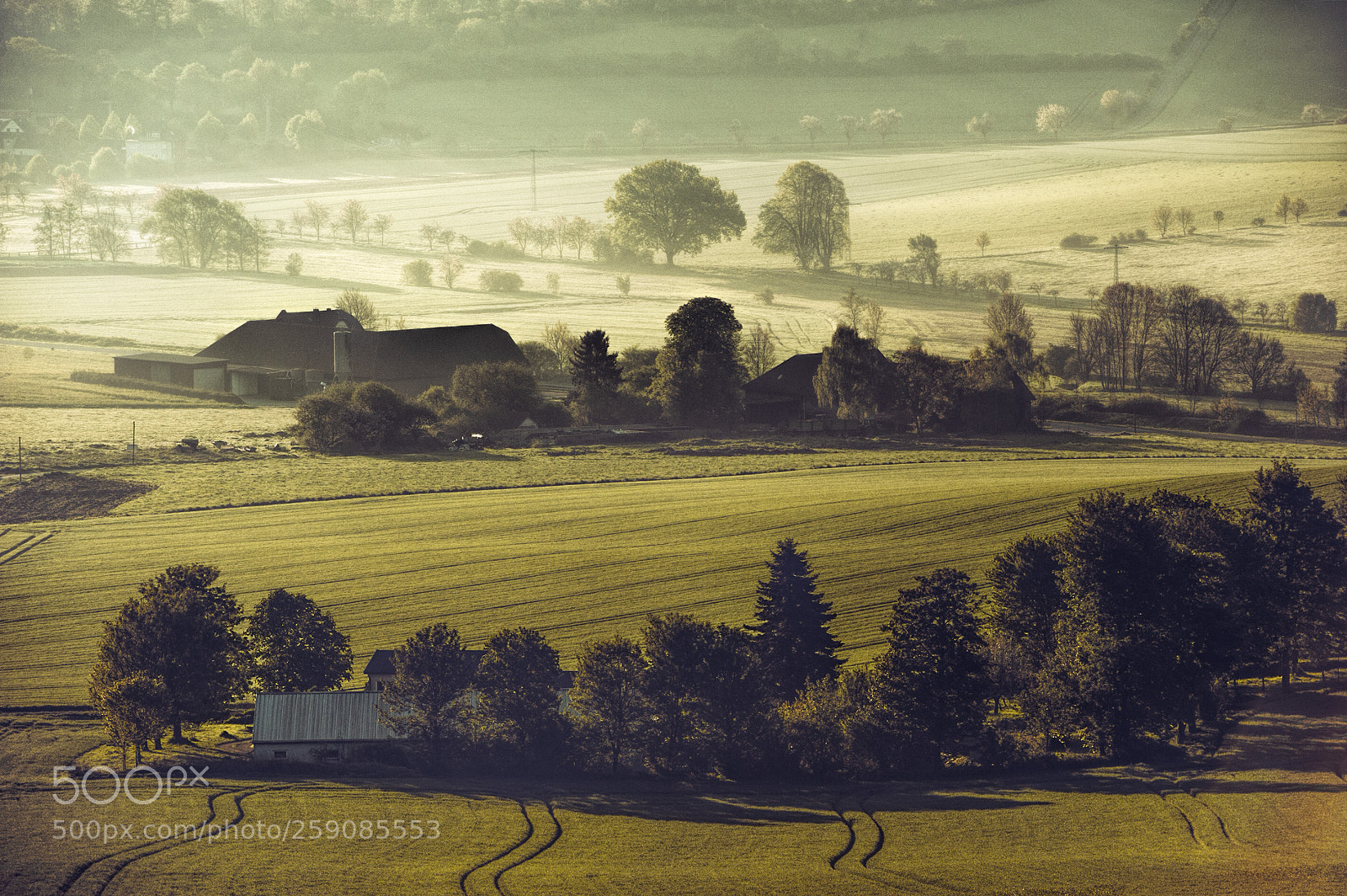 Nikon D700 sample photo. Licht und schatten photography