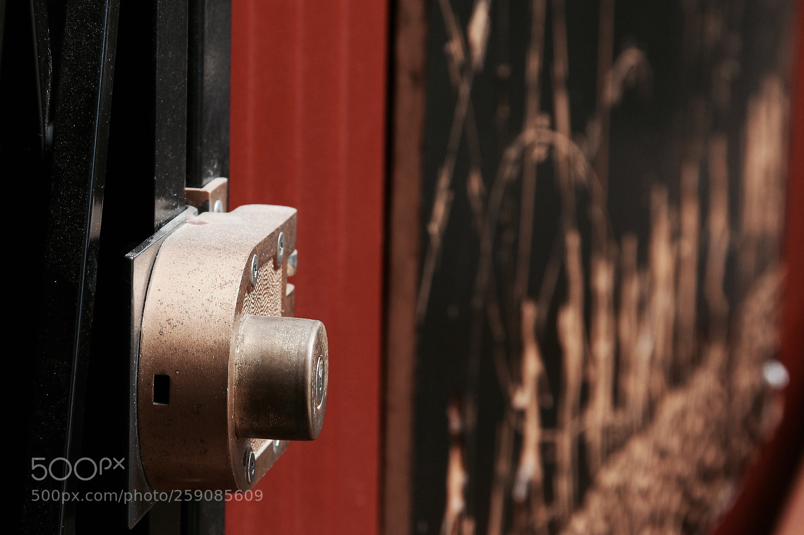 Canon EOS 60D sample photo. Do you hear me? photography