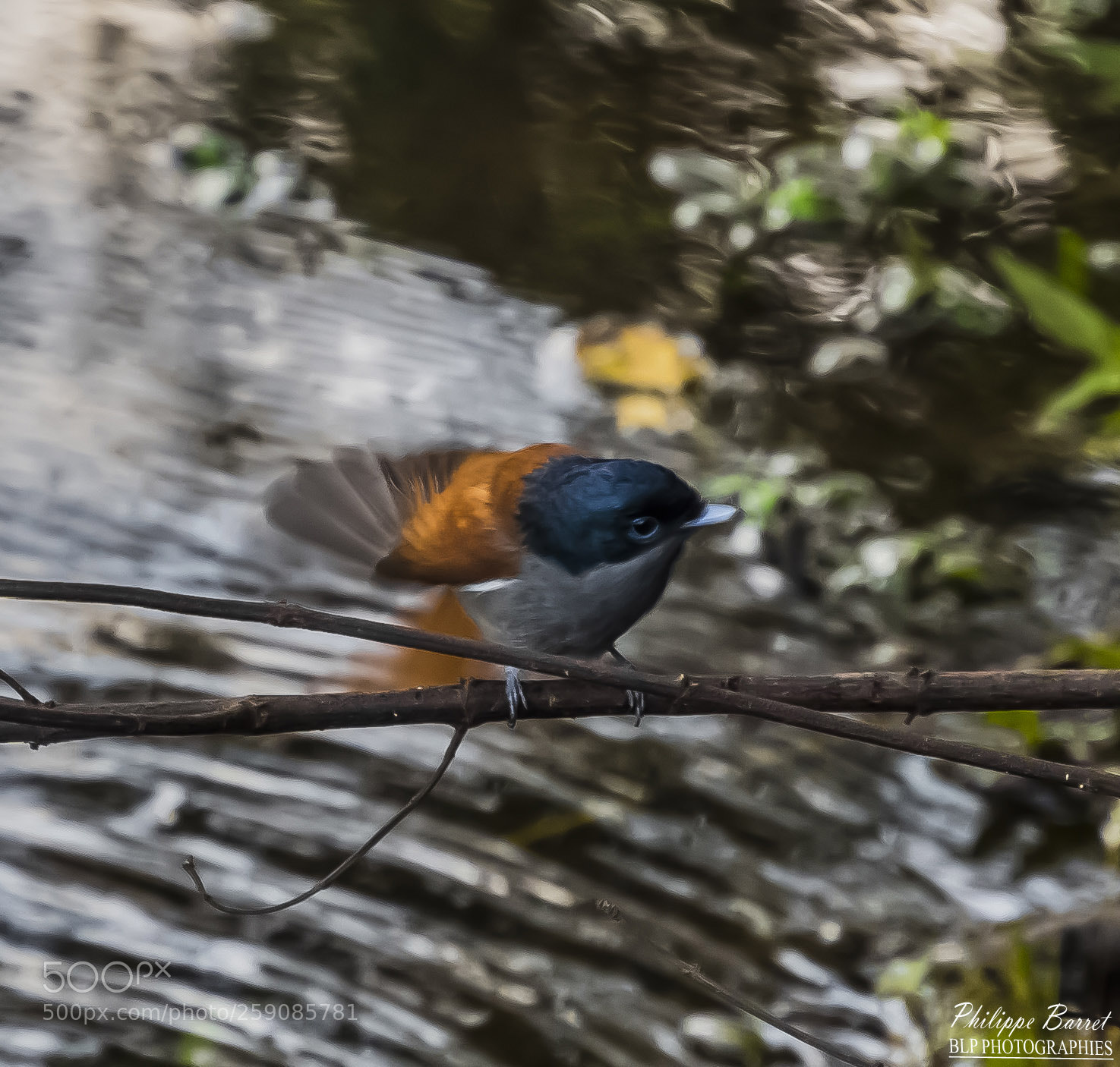Nikon D7200 sample photo. Zoizo la vierge photography