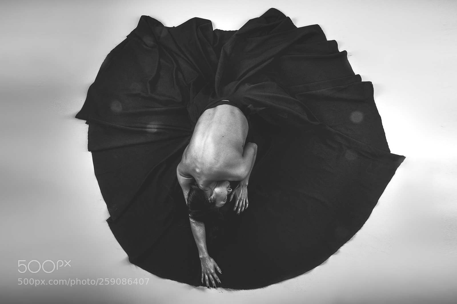 Canon EOS 5D Mark IV sample photo. Black rose photography