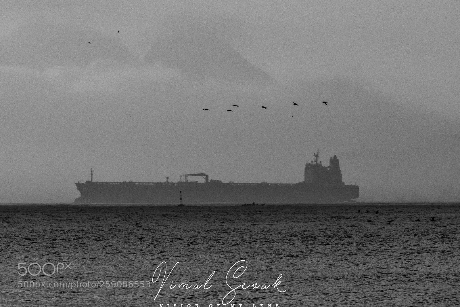 Nikon D7200 sample photo. Flying birds , sailing photography