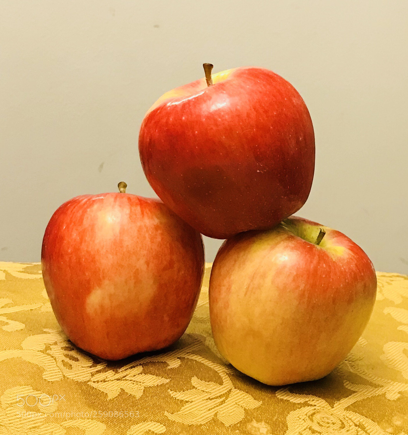 Apple iPhone 7 Plus sample photo. Apples photography