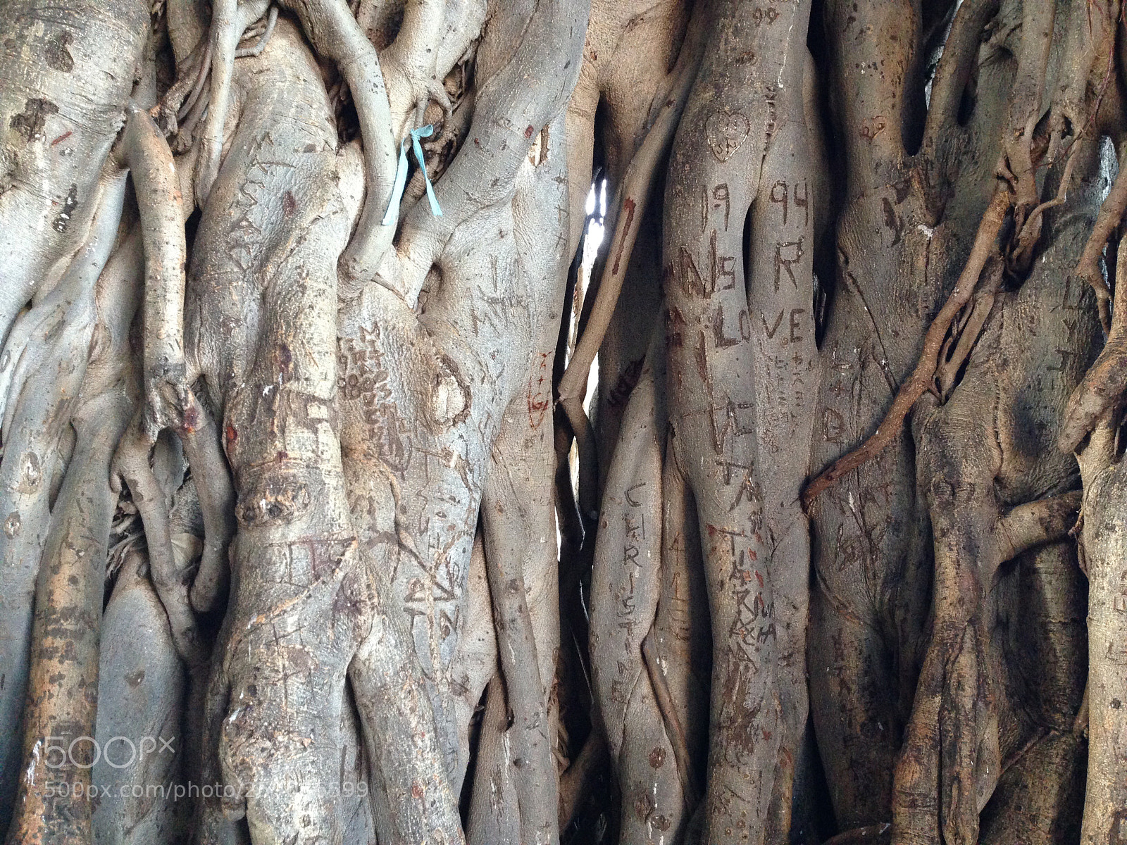 Apple iPhone 5 sample photo. Honolulu photography