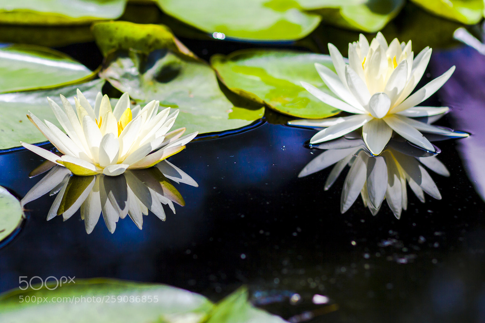 Canon EOS 50D sample photo. Two sisters photography