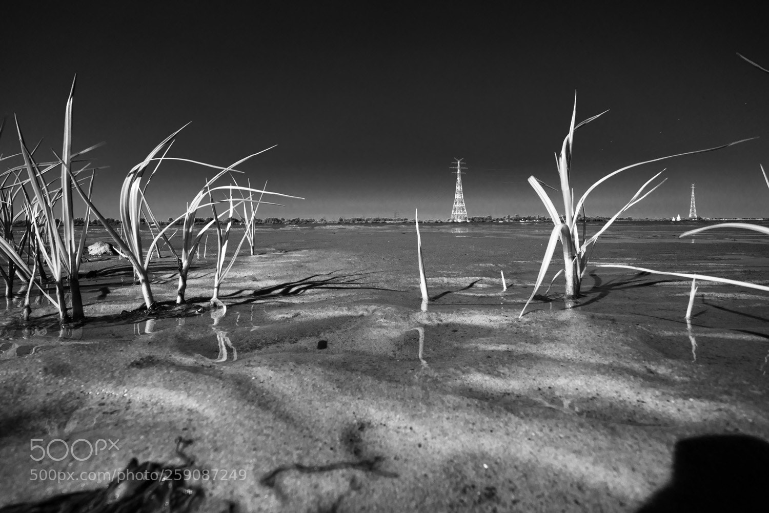 Sony a7R sample photo. The big river photography