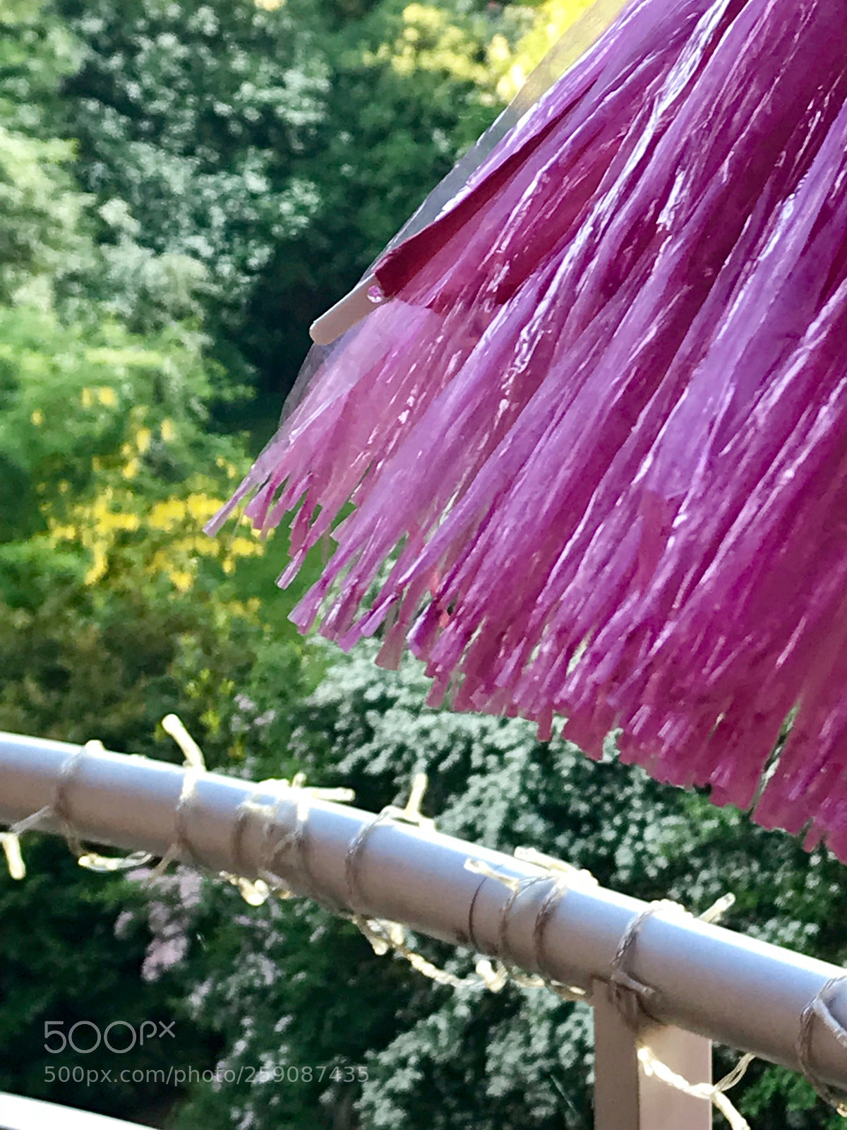 Apple iPhone 7 Plus sample photo. Untitled photography