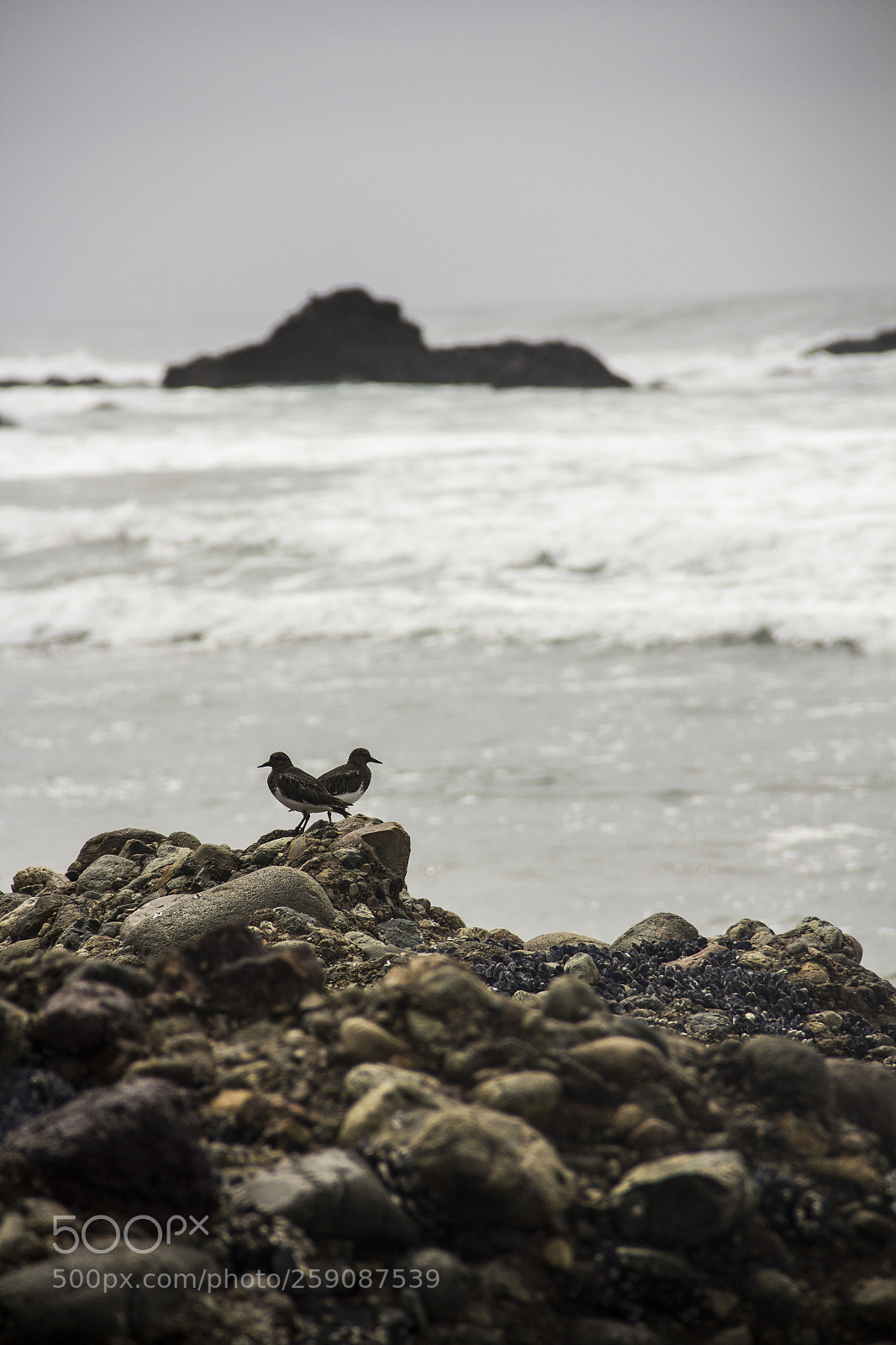 Canon EOS 60D sample photo. Aeacfo photography