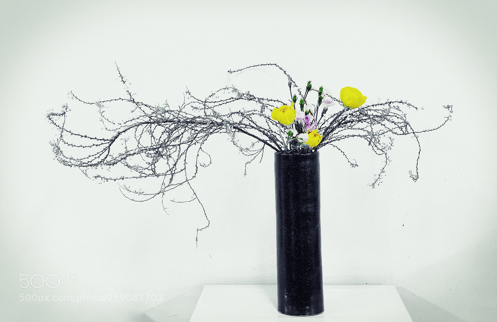 Apple iPhone X sample photo. Ikebana nageire photography